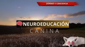 Curso Neuroprofesional Canino